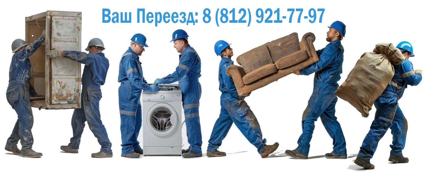 Цены на вывоз мусора в СПб и ЛО